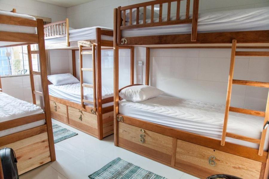 Bed in 6-Bed Mixed Dormitory Room,1158464715:JPEG